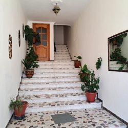Annonce 427 : APPARTEMENT AU CENTRE DE MARTIL