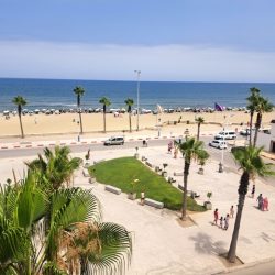 Annonce 439 : GRAND APPARTEMENT VUE SUR MER
